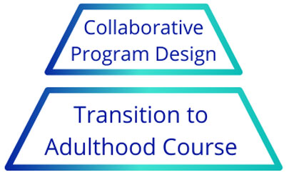 Collaborative program design transition to adulthood course.