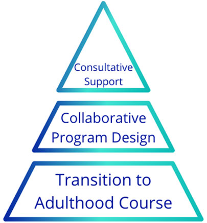 Collaborative support collaborative program design to adulthood course.