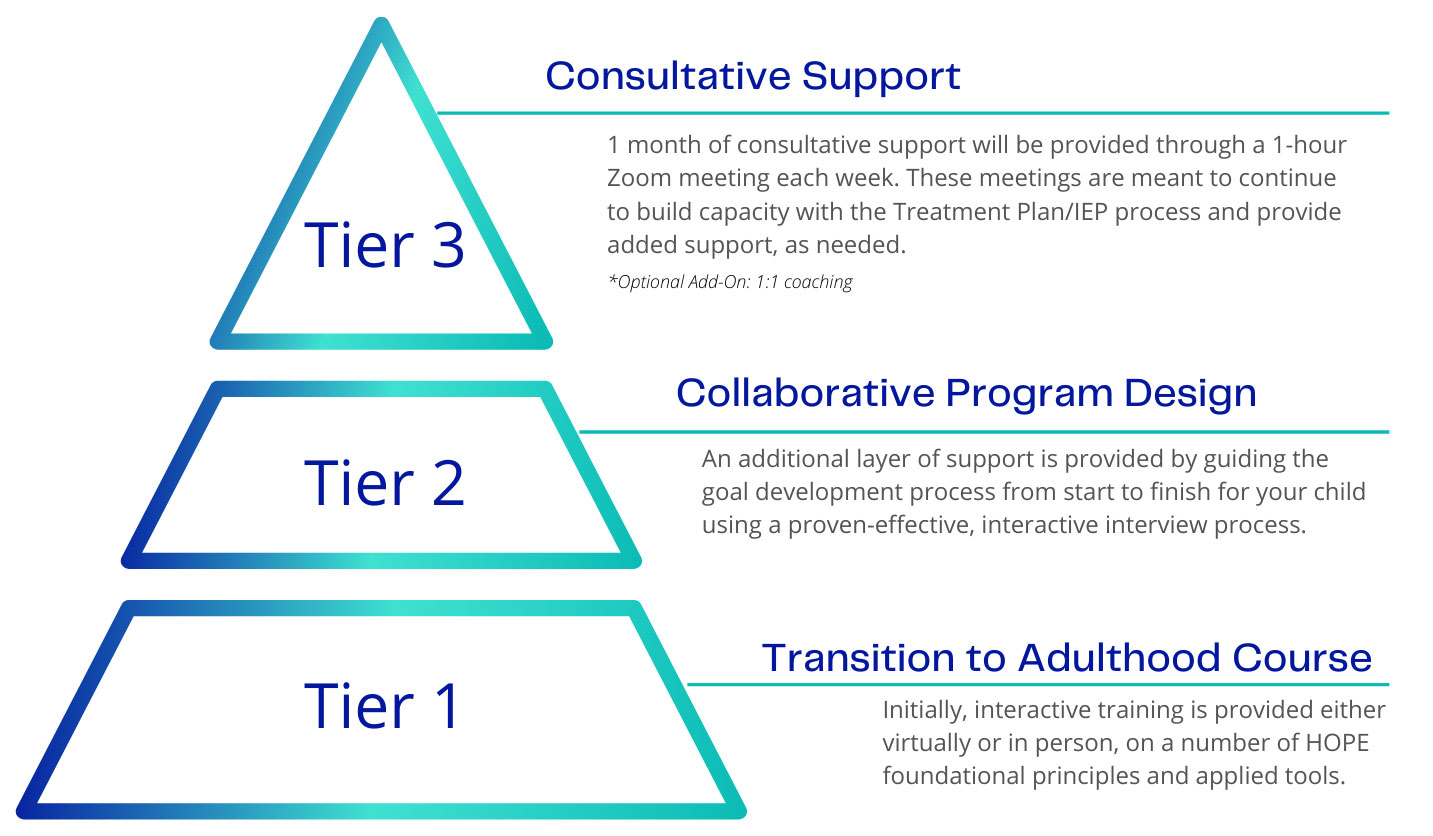 A diagram showing the three stages of the tier program.